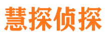 红桥侦探公司